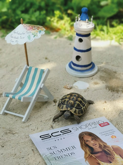 Fotowettbewerb SCS Magazin